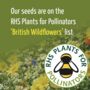 Five Pack Of Bee Friendly 'Thank You' Wild Flower Seeds, thumbnail 4 of 5