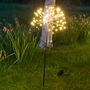 Solar Dandelion Outdoor Stake Light, thumbnail 3 of 12