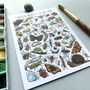 Garden Insects Of Britain Watercolour Postcard, thumbnail 6 of 12