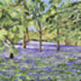 Bluebells At Enys Gardens, Cornwall Collage Art Card, thumbnail 2 of 6
