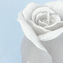 G Decor Elegant Silver Rose Decorative Candle, thumbnail 3 of 3
