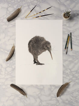Kiwi Bird Giclée Art Print, 2 of 3