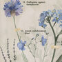 Personalised Botanical Notes For Nanny Framed Print, thumbnail 7 of 8