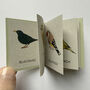 Tiny Book Of Garden Birds Handmade Mini Nature Book, thumbnail 5 of 10