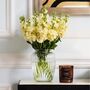 Pale Canary Stock Fresh Bouquet, thumbnail 3 of 3