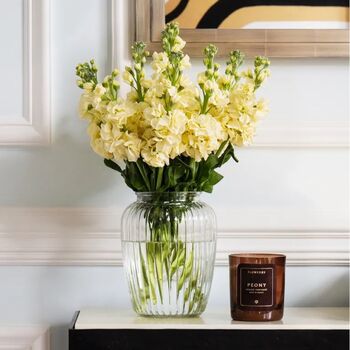 Pale Canary Stock Fresh Bouquet, 3 of 3