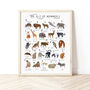 The A To Z Of Mammals Print, thumbnail 1 of 6