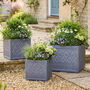 Set Of Three Siena Grey Embossed Planter, thumbnail 1 of 5