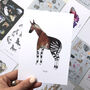 Animal Post Card Set Of Fifteen, thumbnail 3 of 10
