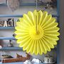 Sunflower Honeycomb Paper Fan Decorations Two Sizes, thumbnail 5 of 5