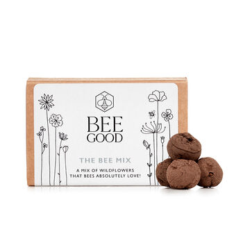 Bee Good: Bee Content Gift Set, 4 of 4