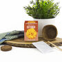 Grow Your Own Birth Flower Choose Your Month, thumbnail 11 of 12