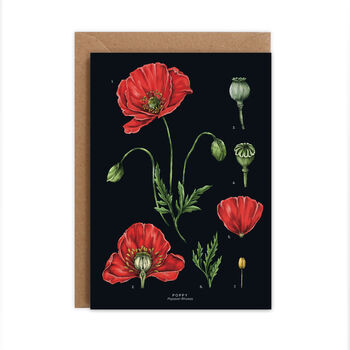 Botanical Poppy Card, 2 of 2