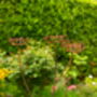 Rusty Metal Cow Parsley, thumbnail 2 of 8