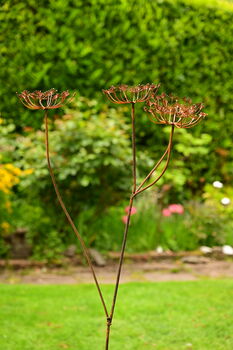 Rusty Metal Cow Parsley, 2 of 8