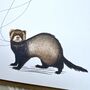 Ferret Father's Day Card, thumbnail 2 of 3