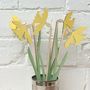 Wooden Sunny Daffodils, thumbnail 4 of 5
