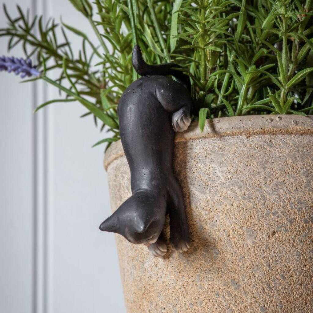 Cat Pot Hanger By Sophie MacBain