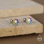Sterling Silver Rainbow Flower 18 G Screw Back Earrings With Ball Backs, thumbnail 1 of 12