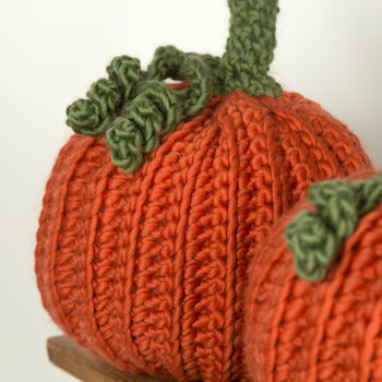 Pumpkin Trio Crochet Kit, 7 of 10