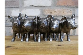 Five Pig Family Planter – 30cm Decorative Flower Pot, 5 of 6