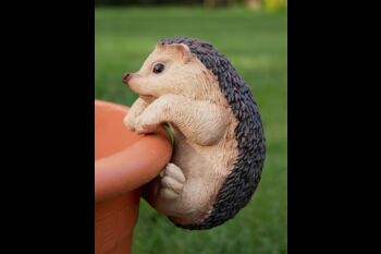 Indoor/Outdoor Detailed Hedgehog Pot Hanger, 3 of 4