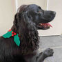 Christmas Dog Collar, thumbnail 2 of 6