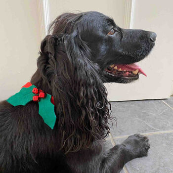 Christmas Dog Collar, 2 of 6