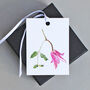 Gift Tags With Clematis Illustration, thumbnail 3 of 5