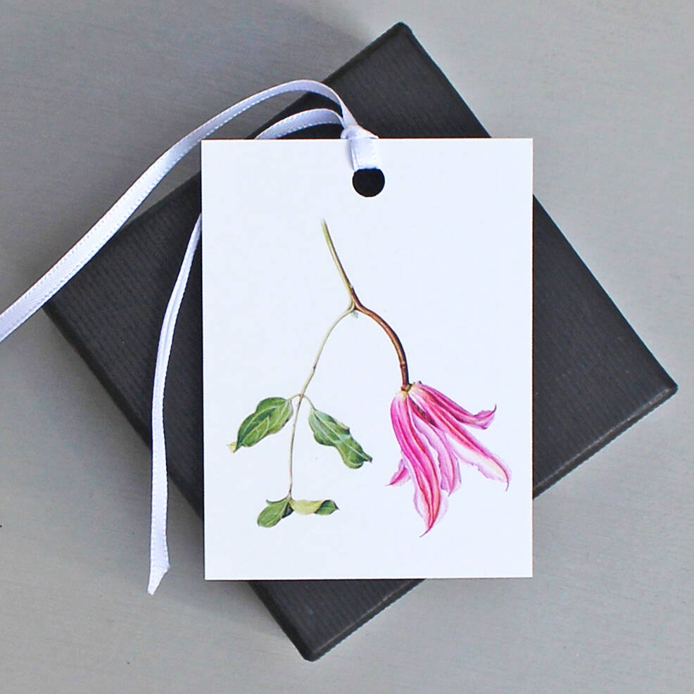 Gift Tags With Clematis Illustration By The Botanical Concept ...