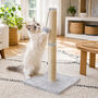 70cm Cat Scratching Post With Sisal Rope And Toy Ball, thumbnail 1 of 6