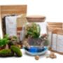 Beach Themed Terrarium Kit | 'Dominica', thumbnail 3 of 12