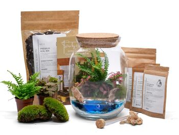 Beach Themed Terrarium Kit | 'Dominica', 3 of 12