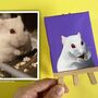 Personalised Mini Pet Portrait Painting, thumbnail 9 of 10
