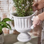 Arcadia Large Grecian Urn Plant Pot, thumbnail 3 of 7