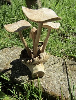 Wooden Mushrooms Ornament For Garden, 4 of 6