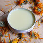 Natural Calendula Salve, thumbnail 1 of 4