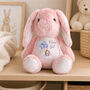 Personalised Fairy Birthday Bunny Plush Gift, thumbnail 2 of 4