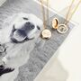 Personalised Pet Paw Print Photo Locket Necklace, thumbnail 1 of 5