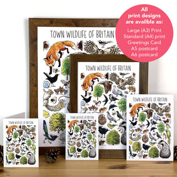 Town Wildlife Of Britain Wildlife Print, 4 of 9