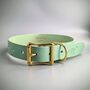 Personalised Turquoise Leather Dog Collar, thumbnail 2 of 5