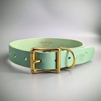 Personalised Turquoise Leather Dog Collar, 2 of 5