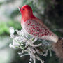 Three Feathered Glass Birds On Clips, thumbnail 1 of 7