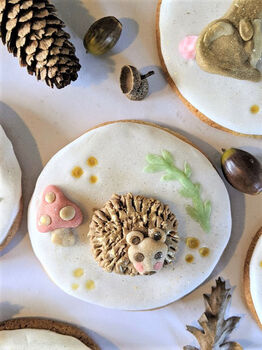 Personalised Hand Iced Woodland Creatures Biscuit Box, 9 of 12