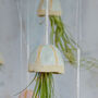 Jellyfish Air Plant Hanging Decorations Stone, thumbnail 6 of 8