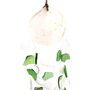 Shell And Glass Wind Chime Green And White, thumbnail 4 of 7