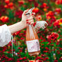 Non Alcoholic Sparkling Honey Wine 750ml—Wild Raspberry Rosé, thumbnail 1 of 8