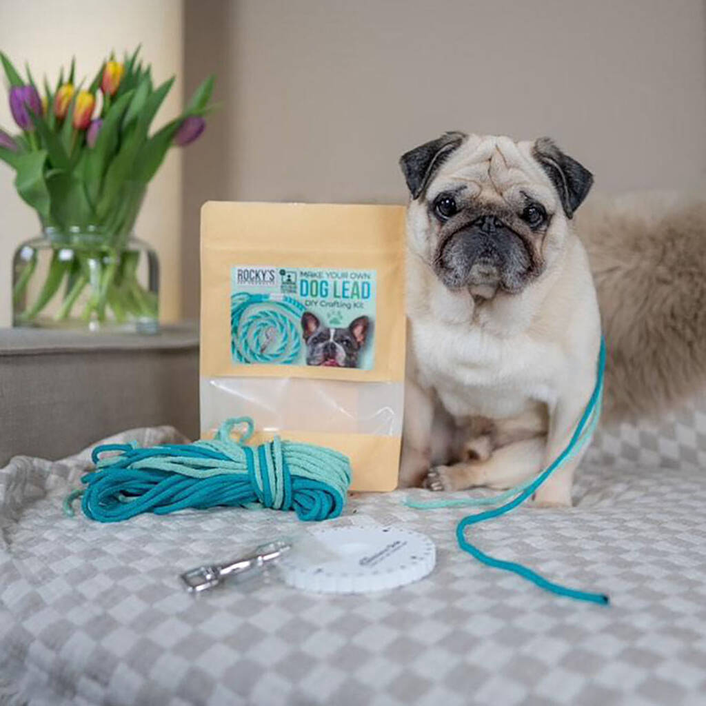 Make Your Own Mint Green Dog Lead Craft Kit, 1 of 5
