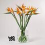 Orange Birds Of Paradise Fresh Flower Bouquet, thumbnail 3 of 4