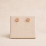 7mm Rose Gold Plated Sterling Silver Rose Stud Earrings, thumbnail 2 of 4